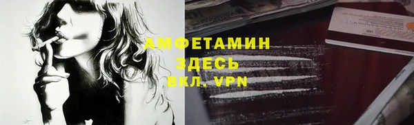 ГАЛЛЮЦИНОГЕННЫЕ ГРИБЫ Абаза