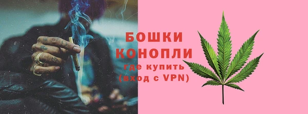 ГАЛЛЮЦИНОГЕННЫЕ ГРИБЫ Абаза