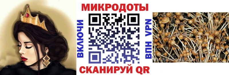 Галлюциногенные грибы Psilocybe  Нестеровская 